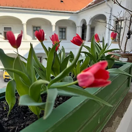 Forst-ház Apartamento *