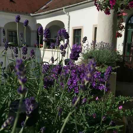 Forst-ház Eger