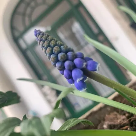 公寓 Forst-haz 埃格尔