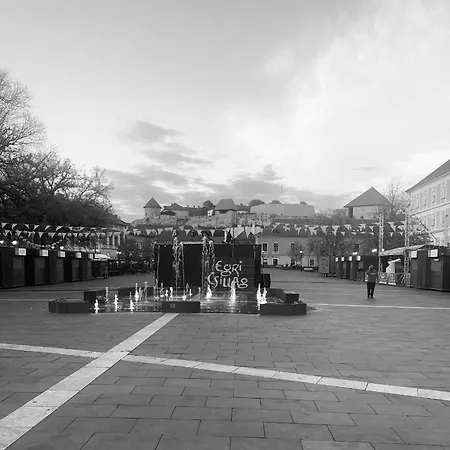 Forst-haz * 埃格尔