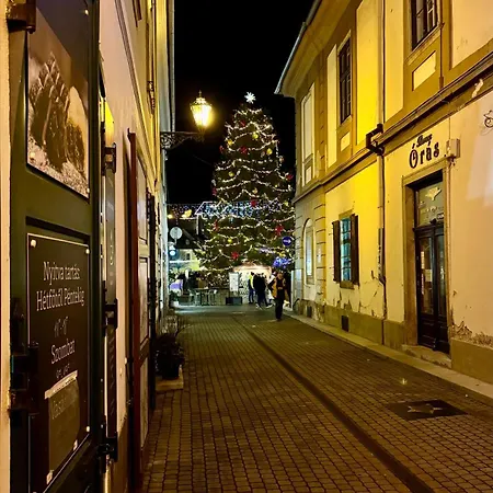 Forst-ház Apartamento *