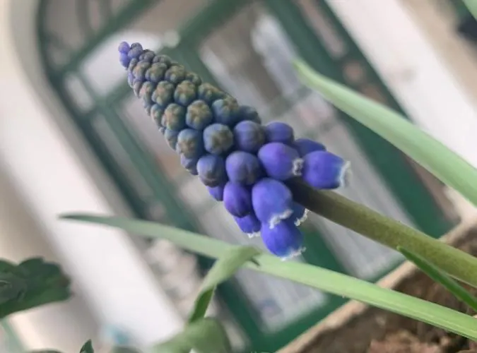 Apartamento Forst-ház Eger